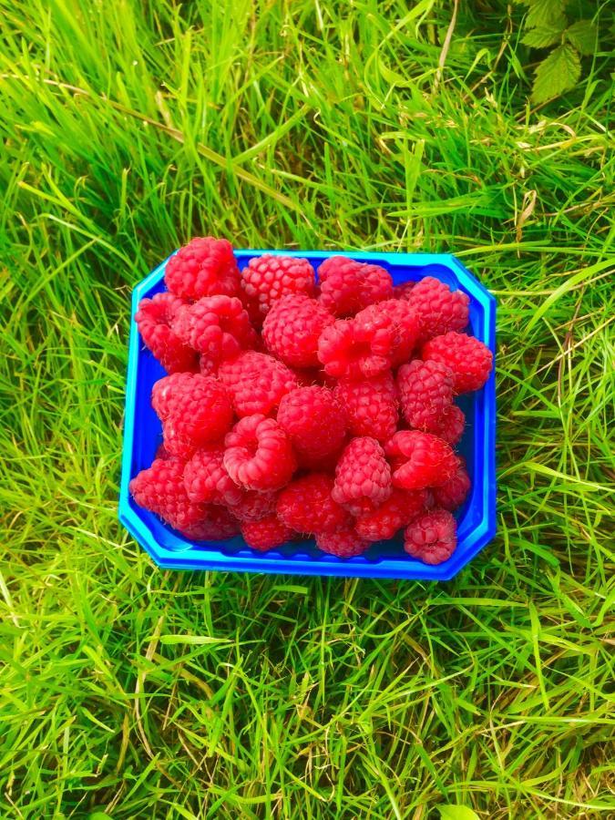 Øystese Mo Gardsferie-Pers Frukthageヴィラ エクステリア 写真